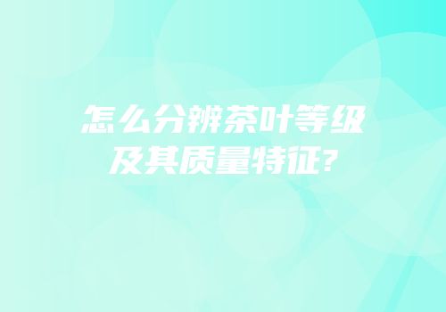 怎么分辨茶叶等级及其质量特征?