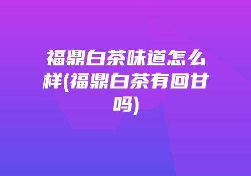 福鼎白茶味道怎么样(福鼎白茶有回甘吗)