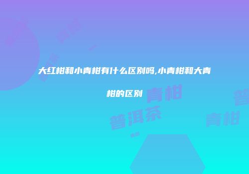 大红柑和小青柑有什么区别吗,小青柑和大青柑的区别