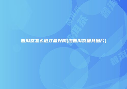 普洱茶怎么泡才最好喝(泡普洱茶备具图片)