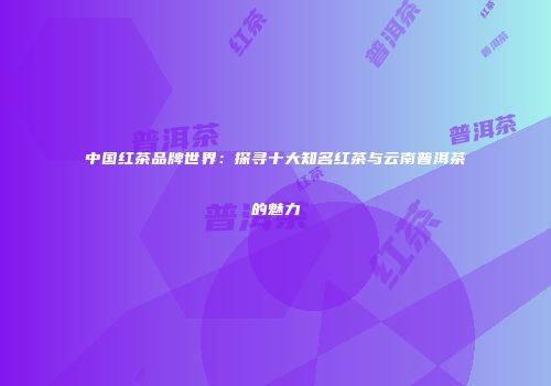 中国红茶品牌世界：探寻十大知名红茶与云南普洱茶的魅力