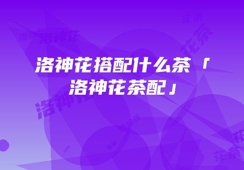 洛神花搭配什么茶「洛神花茶配」
