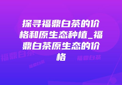 探寻福鼎白茶的价格和原生态种植_福鼎白茶原生态的价格