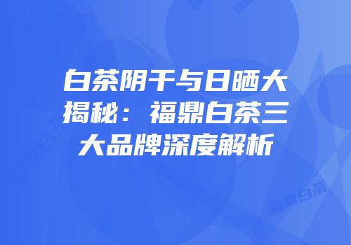 白茶阴干与日晒大揭秘：福鼎白茶三大品牌深度解析