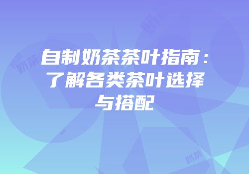 自制奶茶茶叶指南：了解各类茶叶选择与搭配