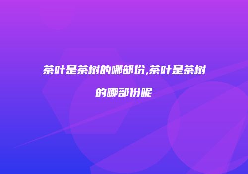 茶叶是茶树的哪部份,茶叶是茶树的哪部份呢