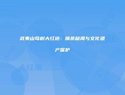 武夷山母树大红袍：摘茶秘闻与文化遗产保护