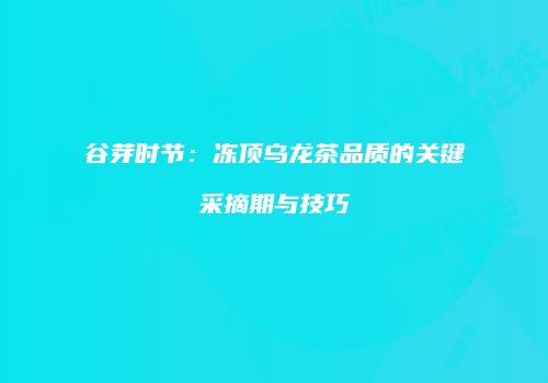 谷芽时节：冻顶乌龙茶品质的关键采摘期与技巧