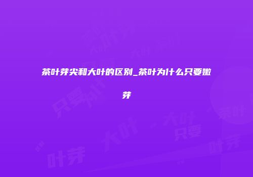茶叶芽尖和大叶的区别_茶叶为什么只要嫩芽