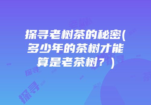 探寻老树茶的秘密(多少年的茶树才能算是老茶树？)