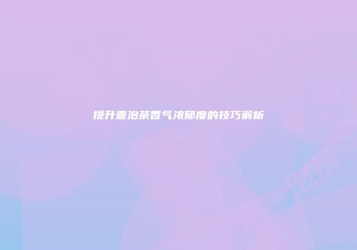 提升壶泡茶香气浓郁度的技巧解析
