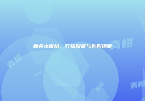 新会小青柑：行情解析与选购指南