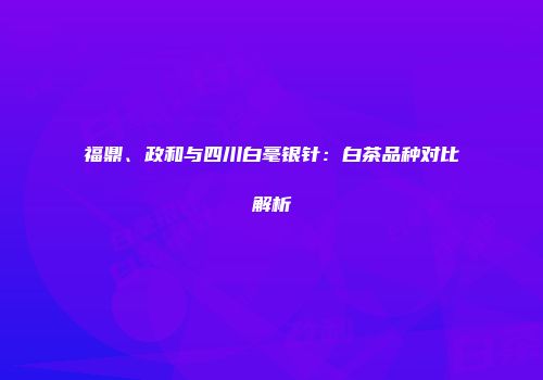 福鼎、政和与四川白毫银针：白茶品种对比解析