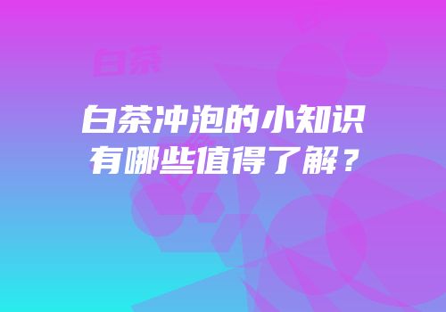白茶冲泡的小知识有哪些值得了解？