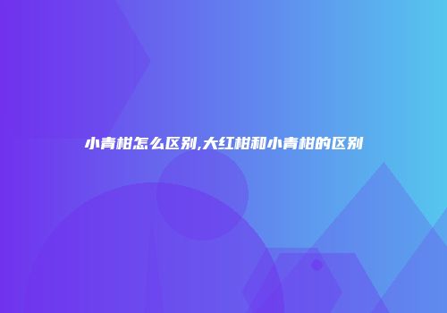 小青柑怎么区别,大红柑和小青柑的区别