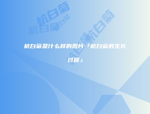 杭白菊是什么样的图片「杭白菊的生长过程」