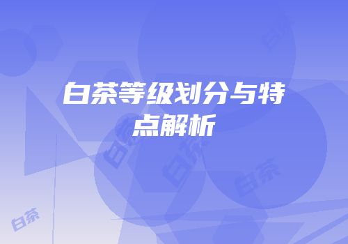 白茶等级划分与特点解析