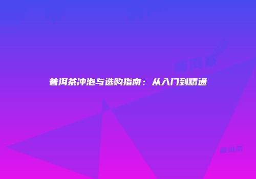 普洱茶冲泡与选购指南：从入门到精通