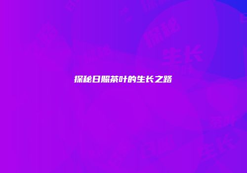 探秘日照茶叶的生长之路