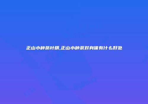 正山小种茶叶精,正山小种茶对身体有什么好处