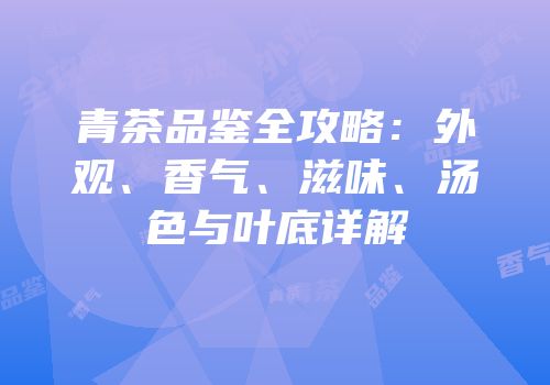 青茶品鉴全攻略：外观、香气、滋味、汤色与叶底详解
