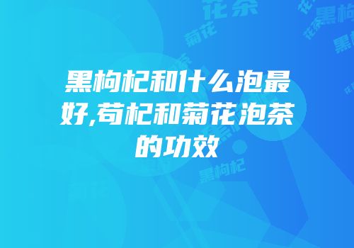 黑枸杞和什么泡最好,苟杞和菊花泡茶的功效