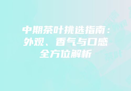 中期茶叶挑选指南：外观、香气与口感全方位解析