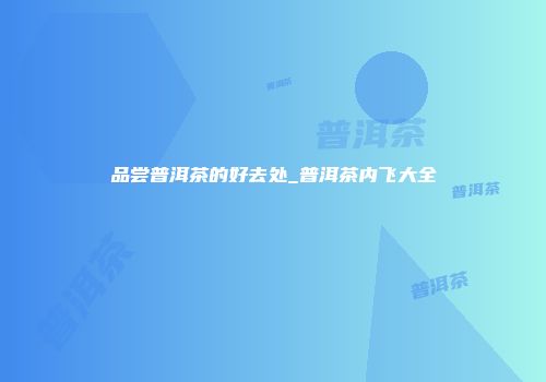品尝普洱茶的好去处_普洱茶内飞大全