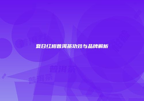 夏日红柑普洱茶功效与品牌解析