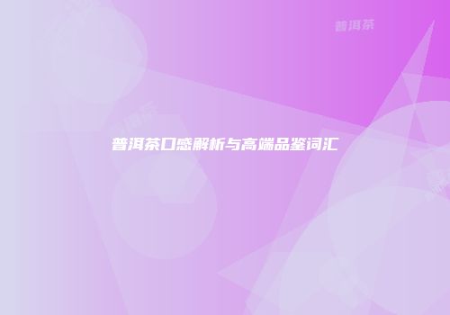 普洱茶口感解析与高端品鉴词汇