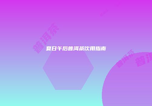 夏日午后普洱茶饮用指南