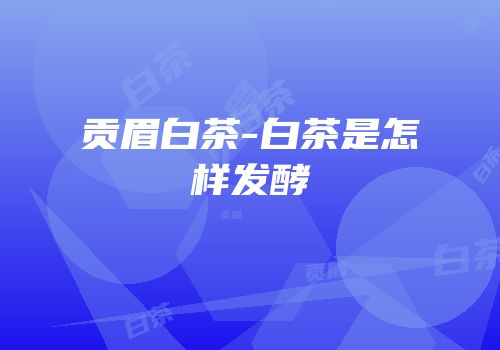 贡眉白茶-白茶是怎样发酵