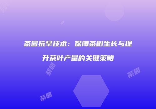 茶园抗旱技术：保障茶树生长与提升茶叶产量的关键策略