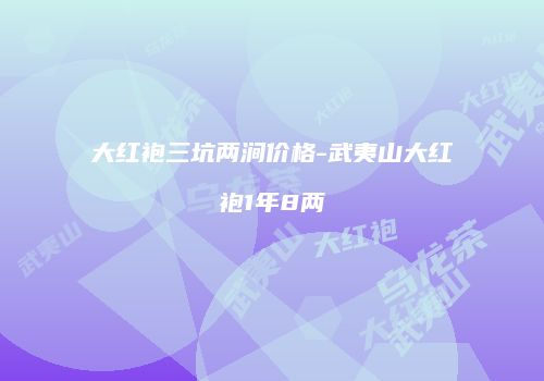 大红袍三坑两涧价格-武夷山大红袍1年8两