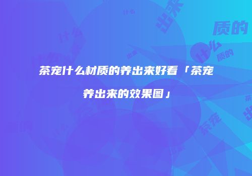 茶宠什么材质的养出来好看「茶宠养出来的效果图」