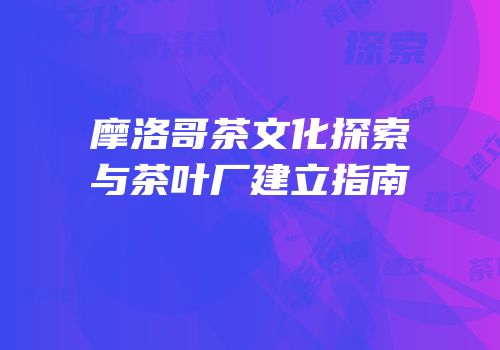 摩洛哥茶文化探索与茶叶厂建立指南