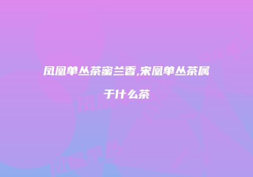 凤凰单丛茶蜜兰香,宋凰单丛茶属于什么茶