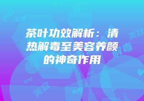 茶叶功效解析：清热解毒至美容养颜的神奇作用