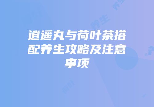 逍遥丸与荷叶茶搭配养生攻略及注意事项