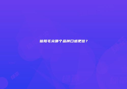 信阳毛尖哪个品牌口感更佳？