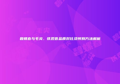 碧螺春与毛尖、铁观音品质对比及辨别方法解析