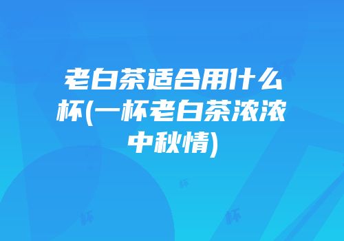 老白茶适合用什么杯(一杯老白茶浓浓中秋情)