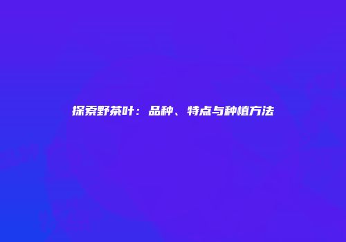 探索野茶叶：品种、特点与种植方法
