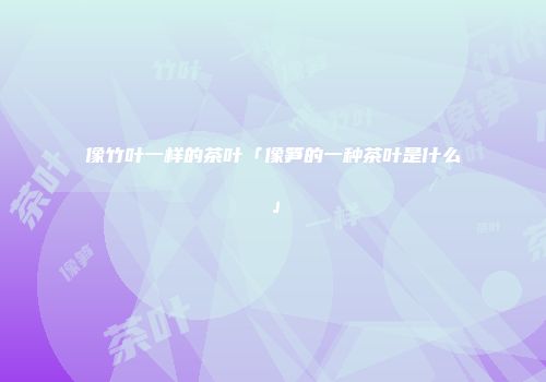 像竹叶一样的茶叶「像笋的一种茶叶是什么」