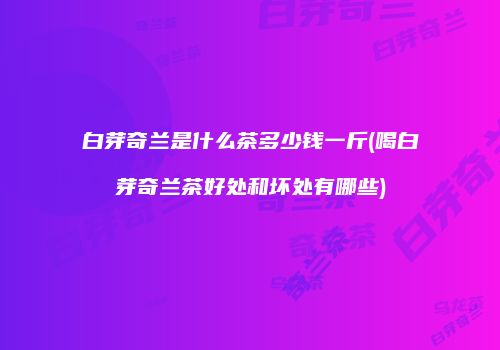 白芽奇兰是什么茶多少钱一斤(喝白芽奇兰茶好处和坏处有哪些)