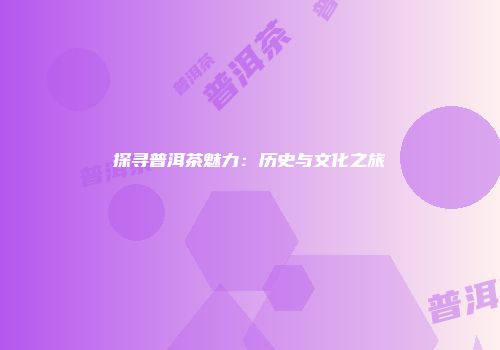 探寻普洱茶魅力：历史与文化之旅