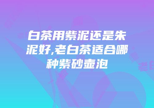 白茶用紫泥还是朱泥好,老白茶适合哪种紫砂壶泡