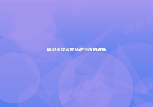 信阳毛尖多样品种与价格解析