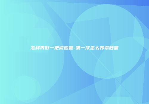 怎样养好一把紫砂壶-第一次怎么养紫砂壶