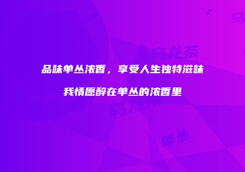 品味单丛浓香，享受人生独特滋味我情愿醉在单丛的浓香里